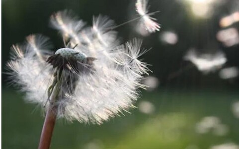 Pourquoi j'ai choisi ce thème « Cercles et Libertés » pour la saison 8 de TEDxSaclay ?