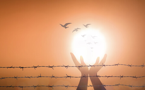 Pourquoi d&eacute;fendre nos libert&eacute;s ?